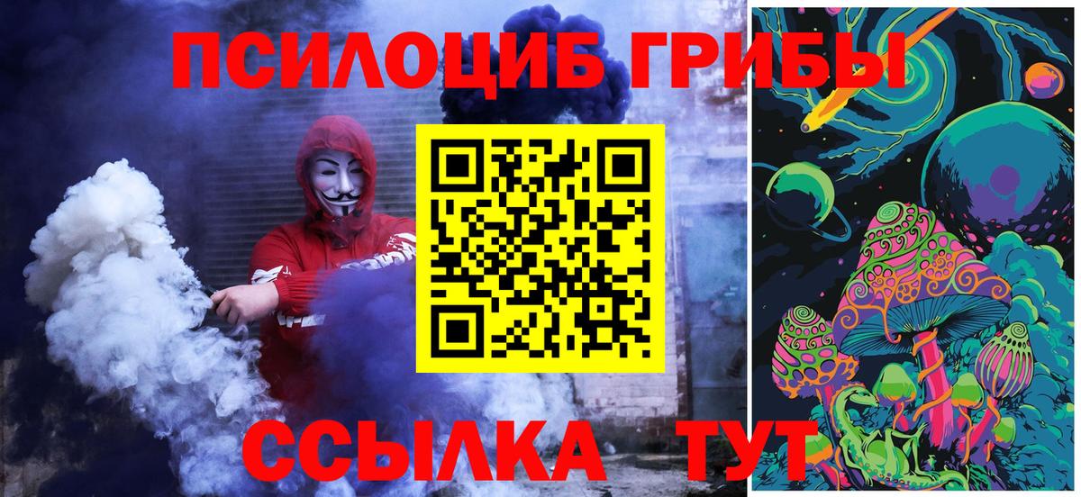 Псилоцибиновые грибы MAGIC MUSHROOMS  Вход с VPN  Псилоцибиновые грибы ЛСД  Ногинск 