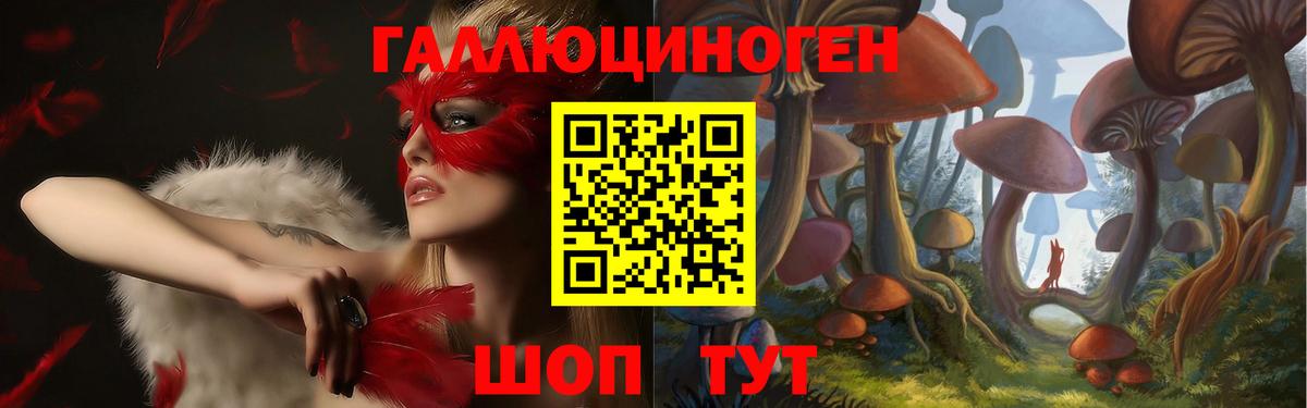 Псилоцибиновые грибы мухоморы Ногинск